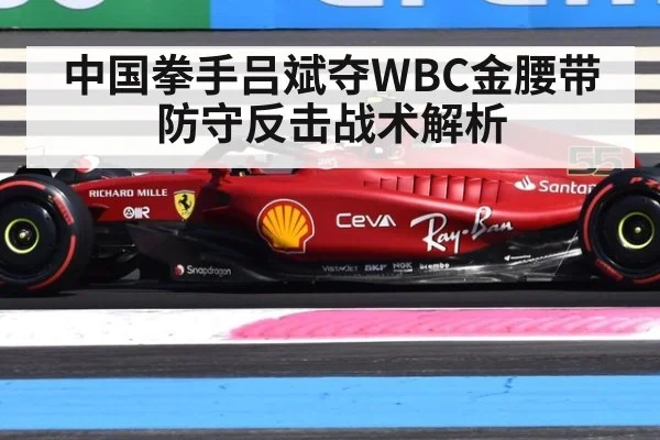 中国拳手吕斌夺WBC金腰带 防守反击战术解析